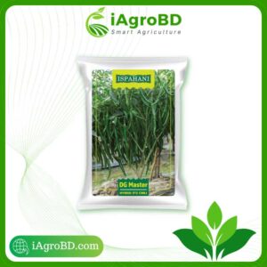 ডিজি মাস্টার (DG Master) Seeds - iAgroBD